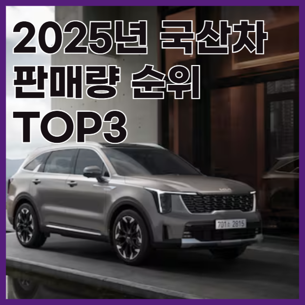 국산차판매량