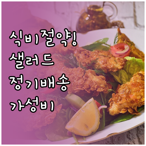 식비 아끼는 샐러드 정기 배송 추천 ..