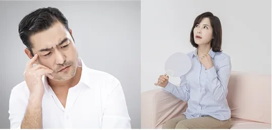 갱년기