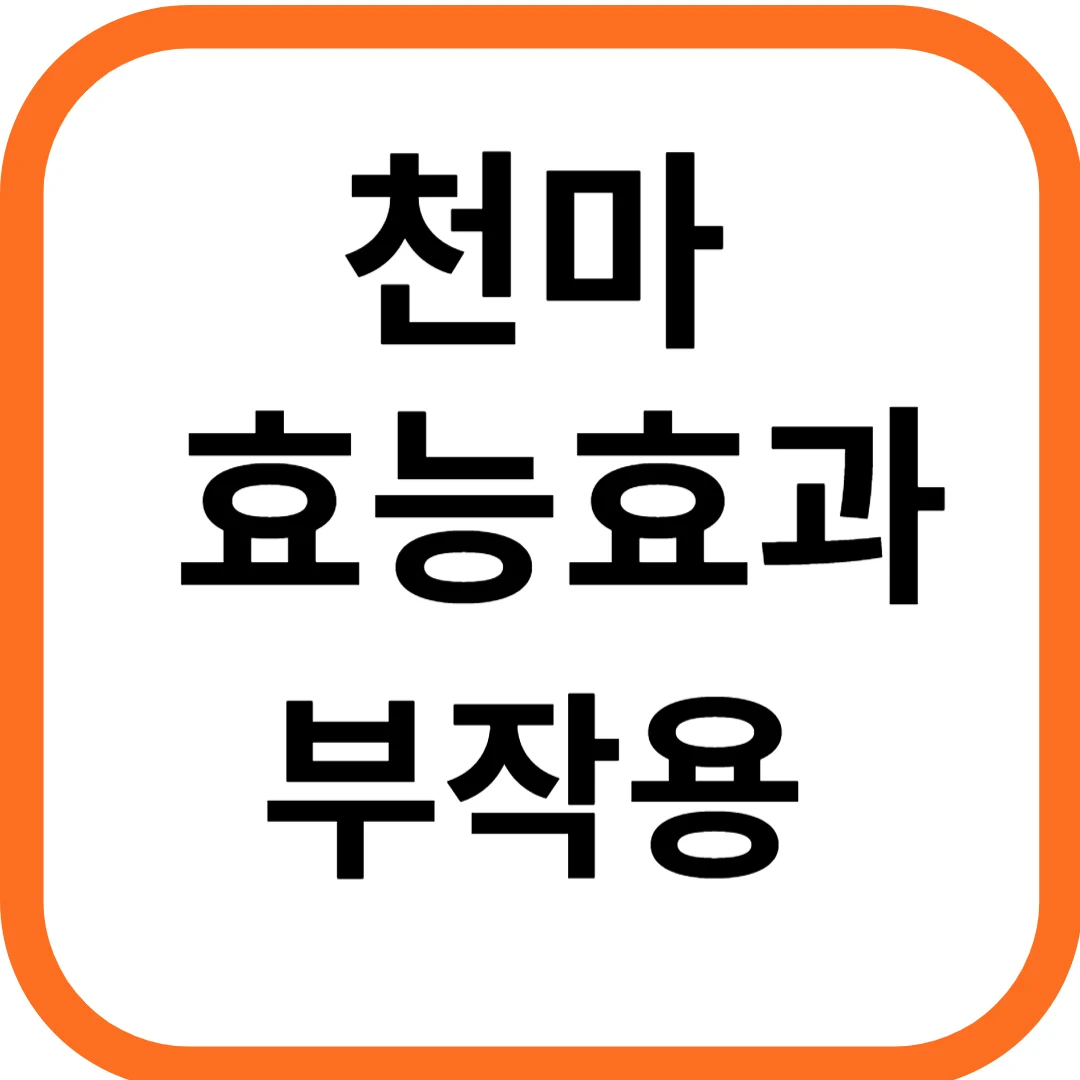 천마 효능효과 및 부작용