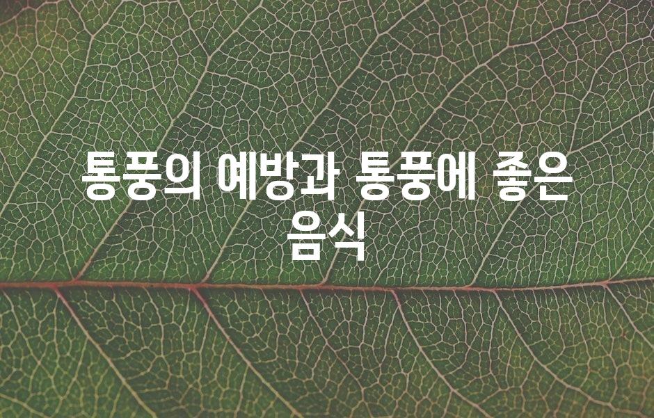 샘플 (43)