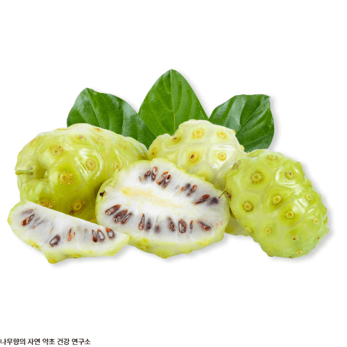 노니