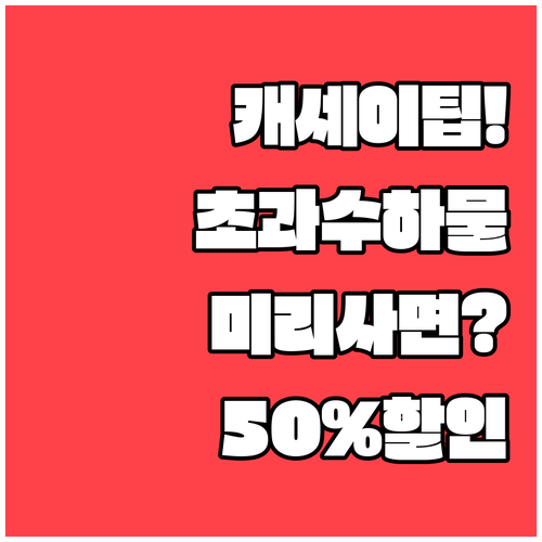 캐세이퍼시픽 초과 수하물 요금과 사전..