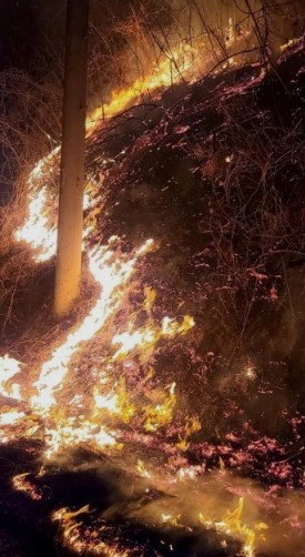 강릉 산불 양간지풍 속도