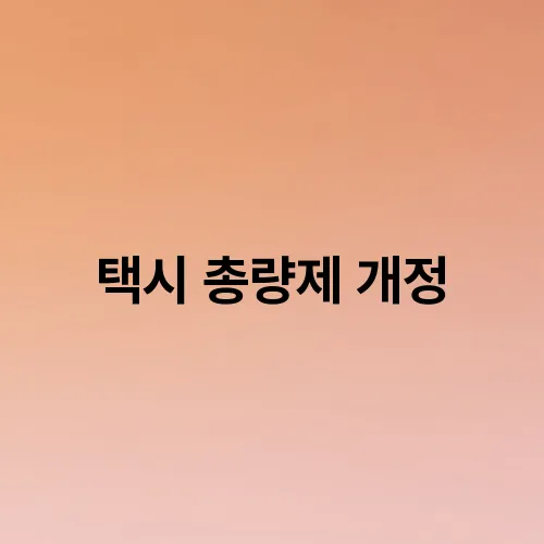 택시 총량제 개정