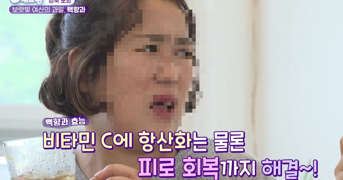 6시내고향 다시보기