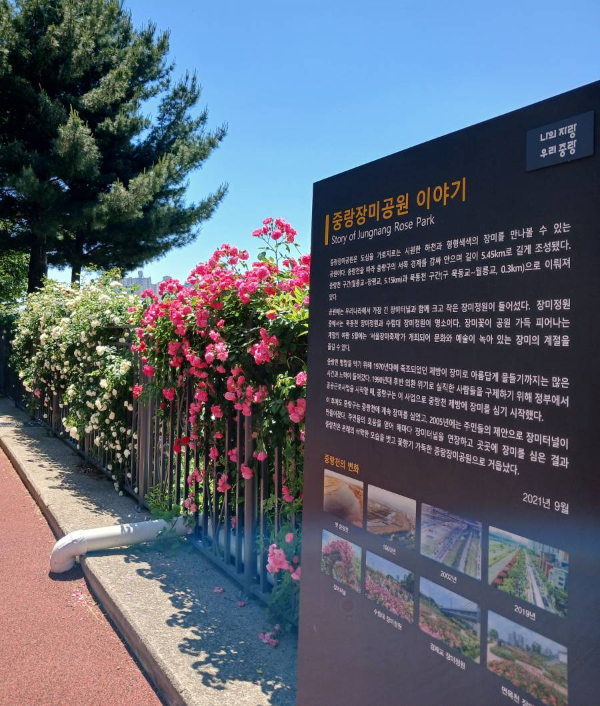 중랑장미공원 이야기