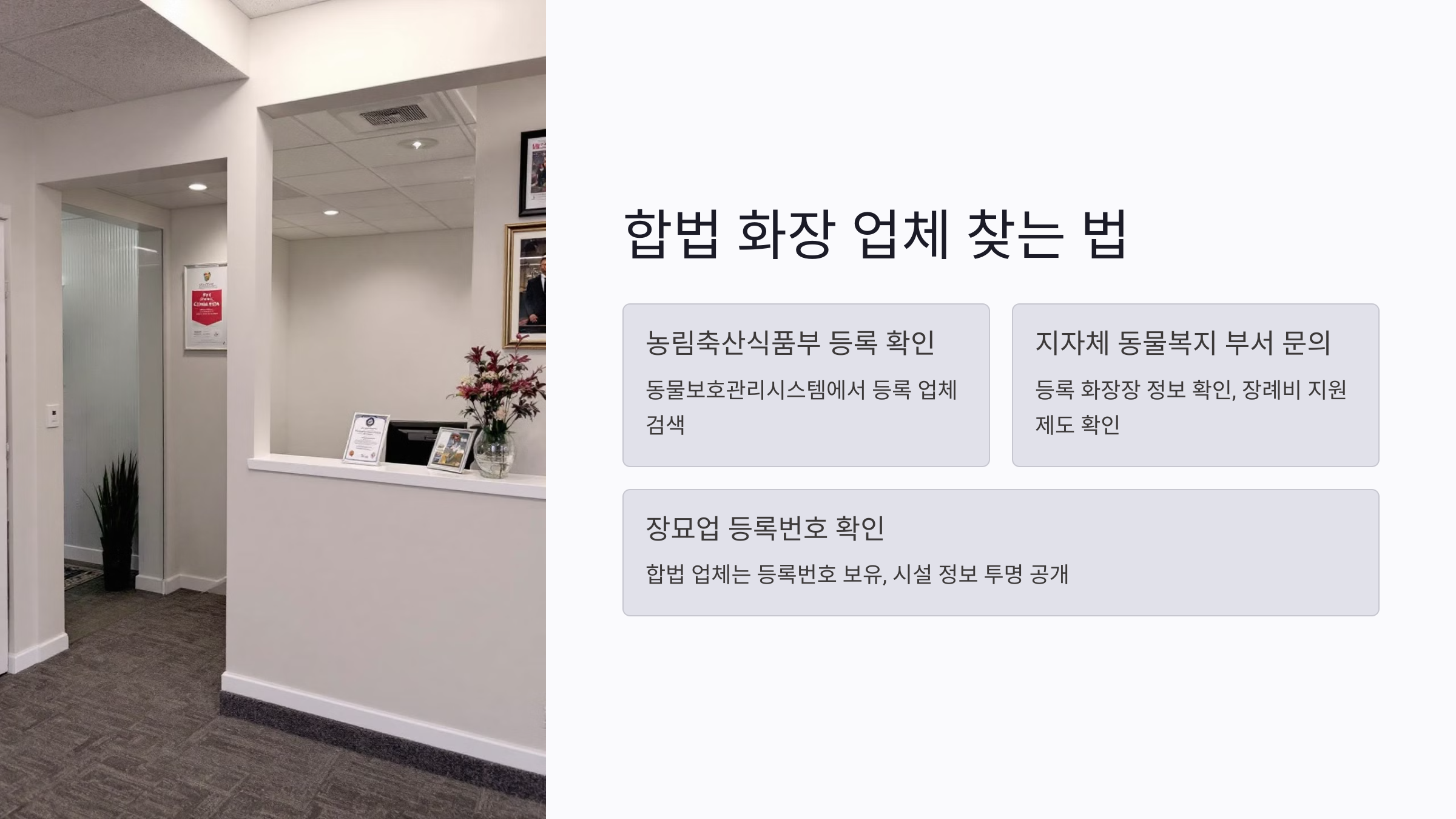 합법적인 반려동물 화장 업체 찾는 법