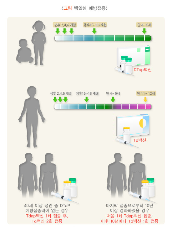 백일해 증상 예방접종 총정리