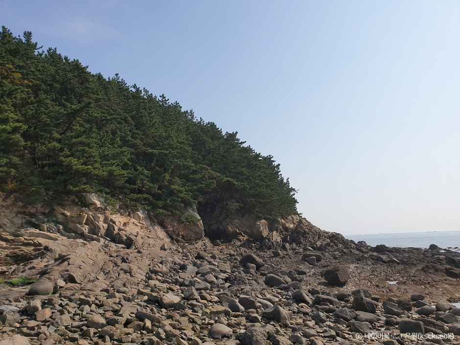 보령 가볼만한곳 베스트10