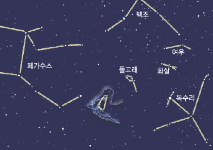 조랑말자리