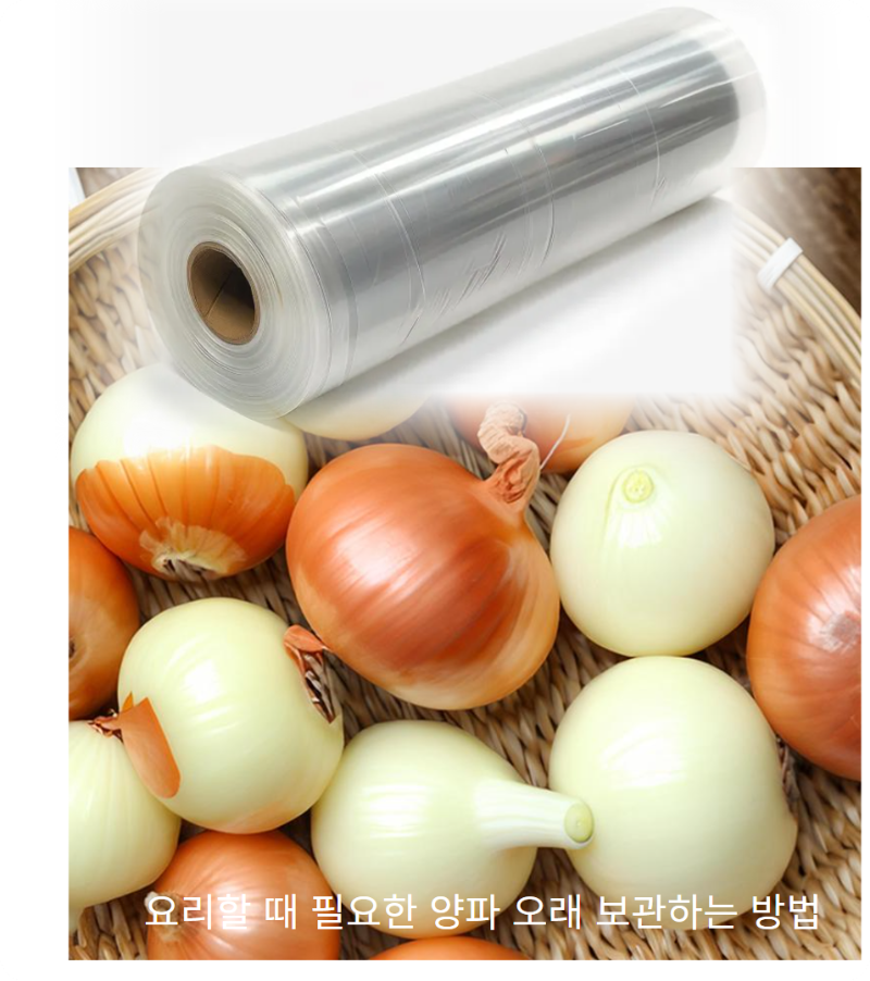 양파 냉장 보관 방법