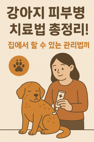 강아지 피부병 치료법 총정리! 집에서 할 수 있는 관리법까지 관련 사진