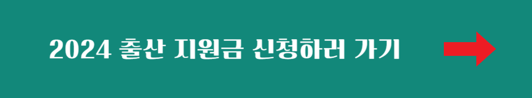 2024 출산 지원금 신청하러 가기 (사용처&#44; 사용 방법)