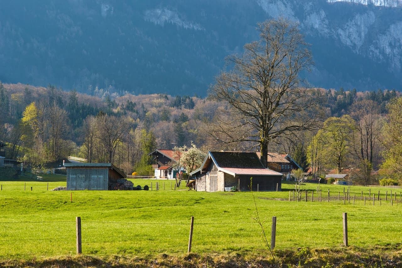 AI 알고리즘 투자, 과연 신뢰할 수 있을까? 장단점 분석