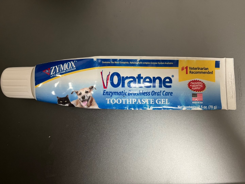 강아지_치약