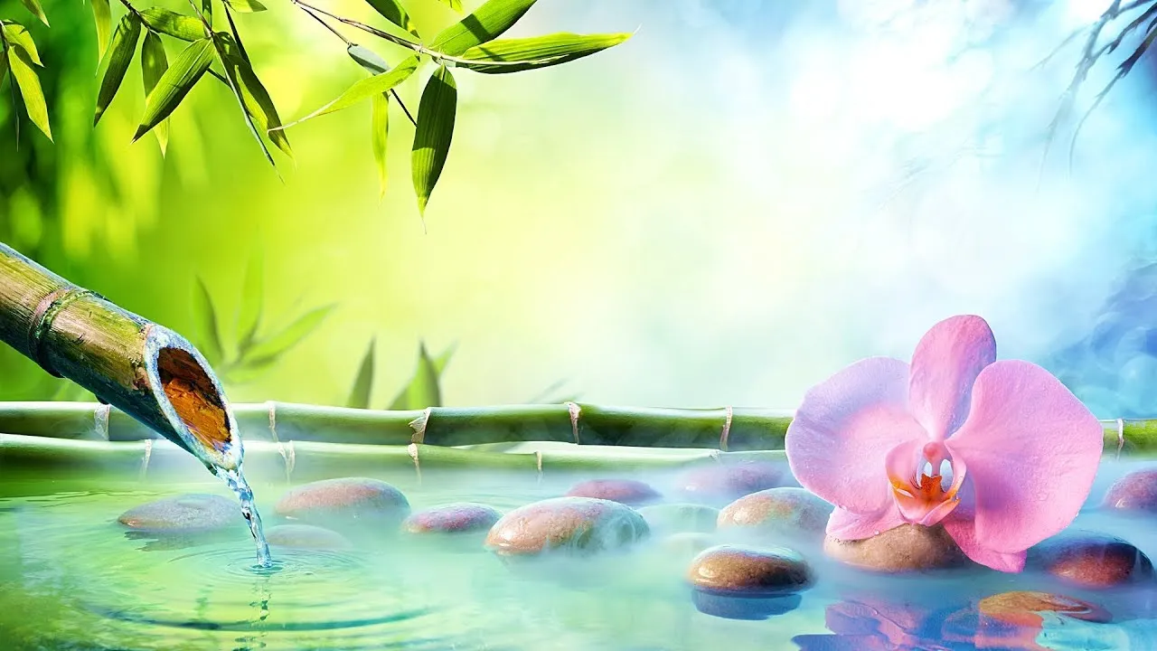 차 한잔하실래요 완벽 힐링 음악_7