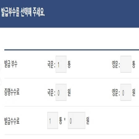 행정 서류 발급