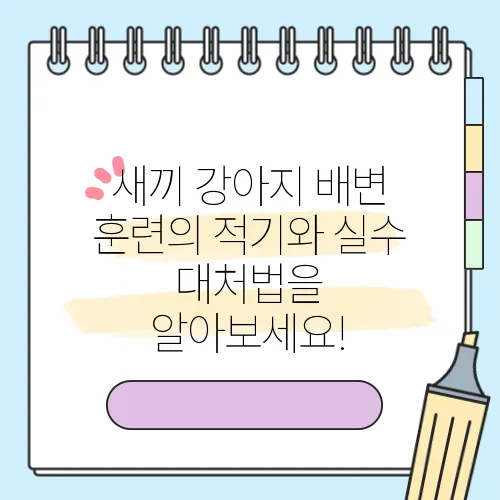 새끼 강아지 배변 훈련의 적기와 실수 대처법을 알아보세요!