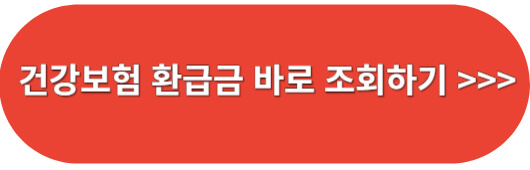 건강보험-환급금-조회하기