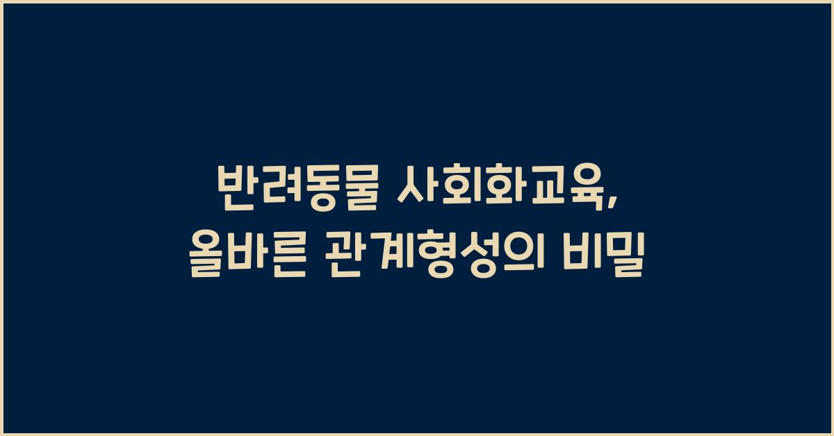 반려동물 사회화교육, 애완동물 올바른관계형성  
