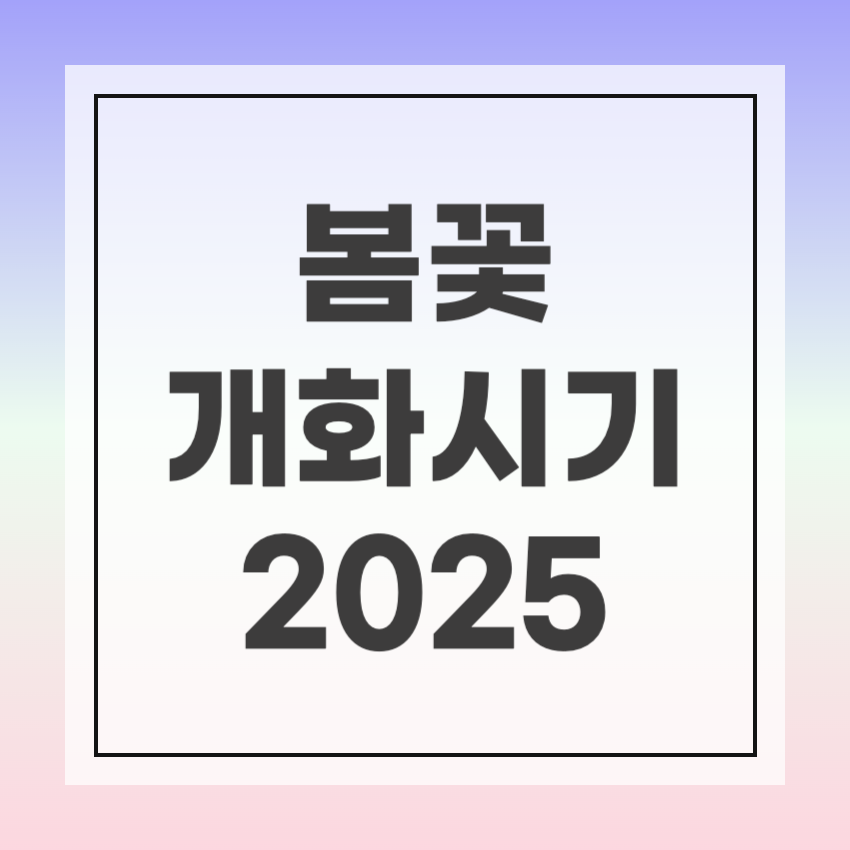 봄꽃 개화시기 2025