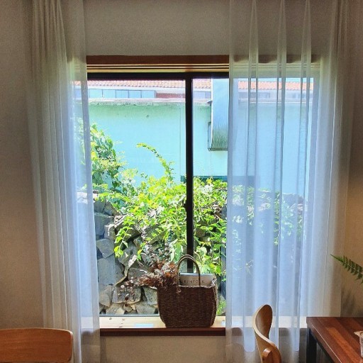 햇빛이 들어오는 방