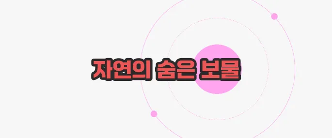 치자 열매 효능  궁금한 점, 풀어보죠
