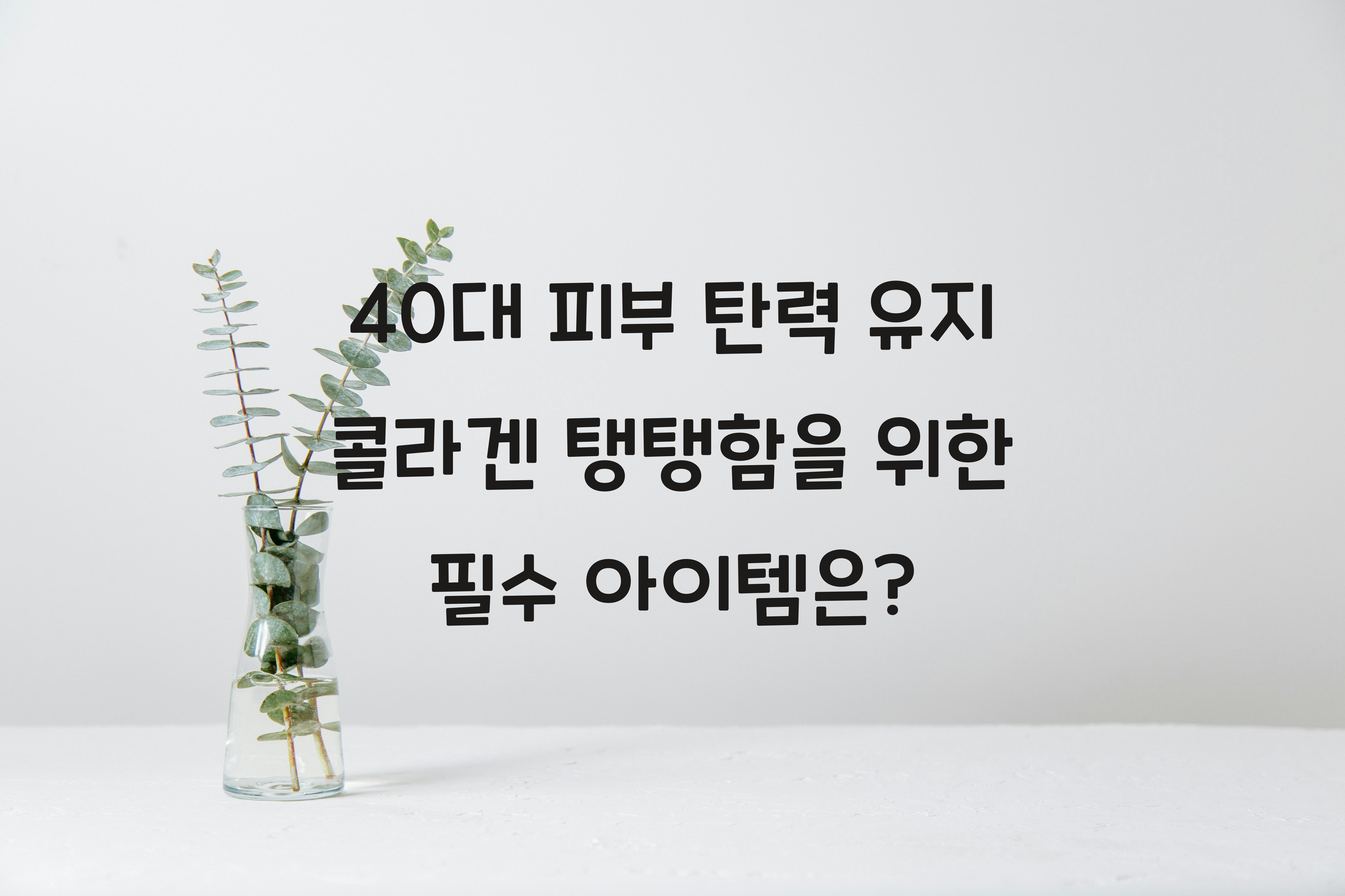 40대 피부 탄력 유지 콜라겐