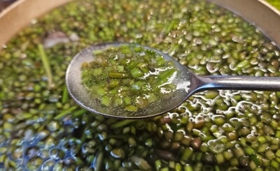 줄서는 식당 곰탕 가게 위치, 추천메뉴 및 가격