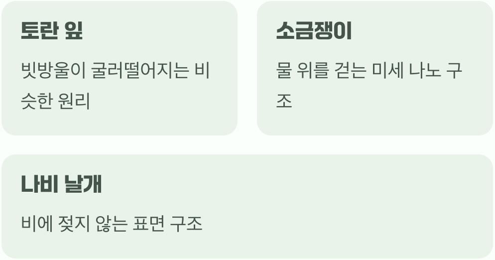 연꽃 잎만의 비밀은 아니에요