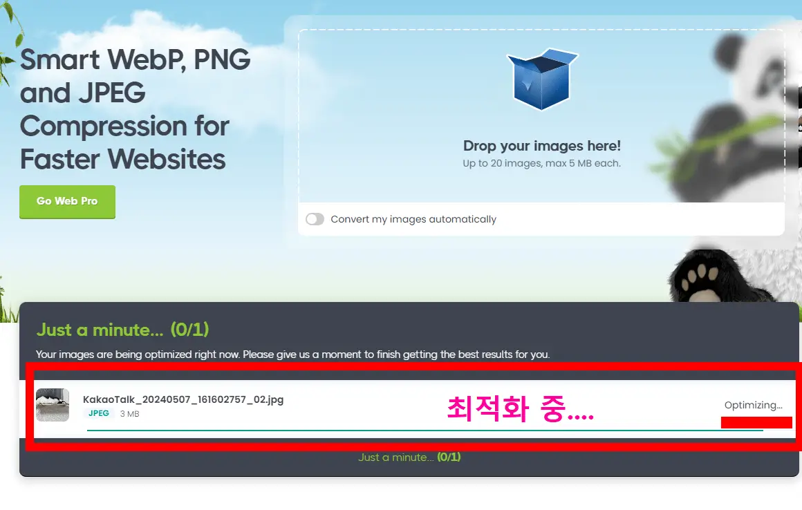 PG JPEG PNG WEBP 변환, 이미지 파일용량줄이기 Tinypng