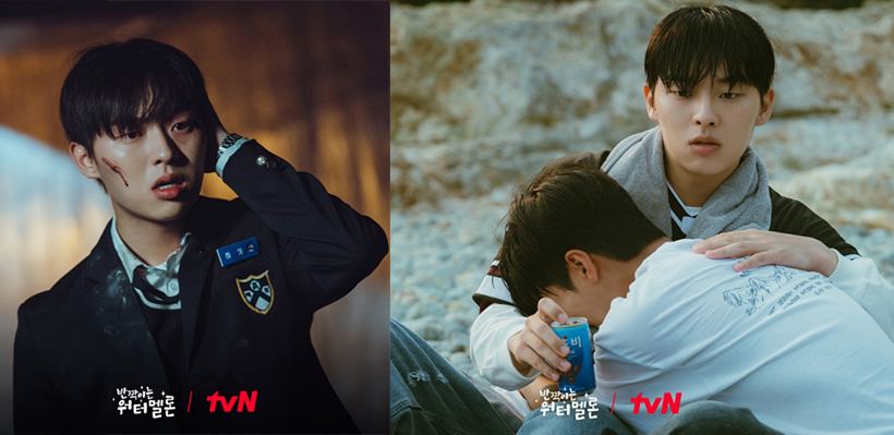 반짝이는-워터멜론-스틸컷10