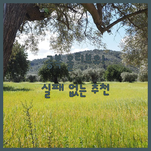 공복 섭취용 냉압착 올리브오일 추천 ..