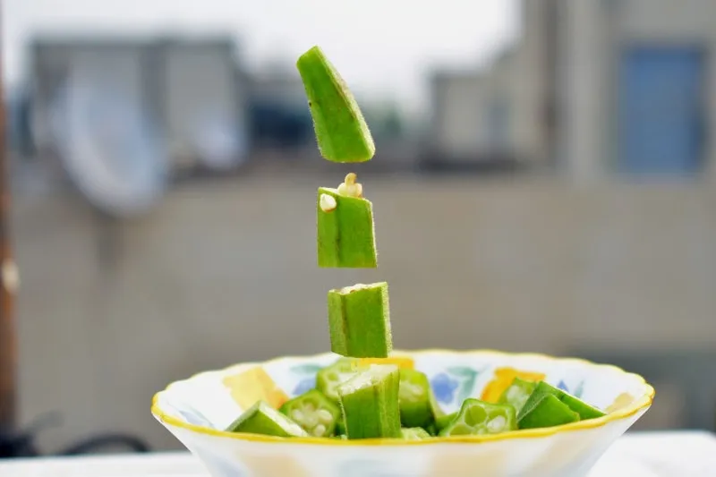 오크라 효능 재배법 손질 수확 요리 보관까지 한눈에 보기_9