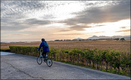 서울-따릉이-부산은뭐지-전국공공자전거지도-교통비-아끼는-꿀팁-안내-생활운동-다이어트