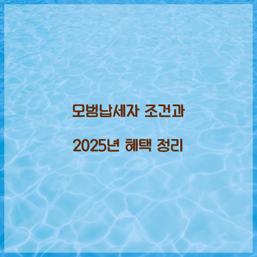 모범납세자 조건