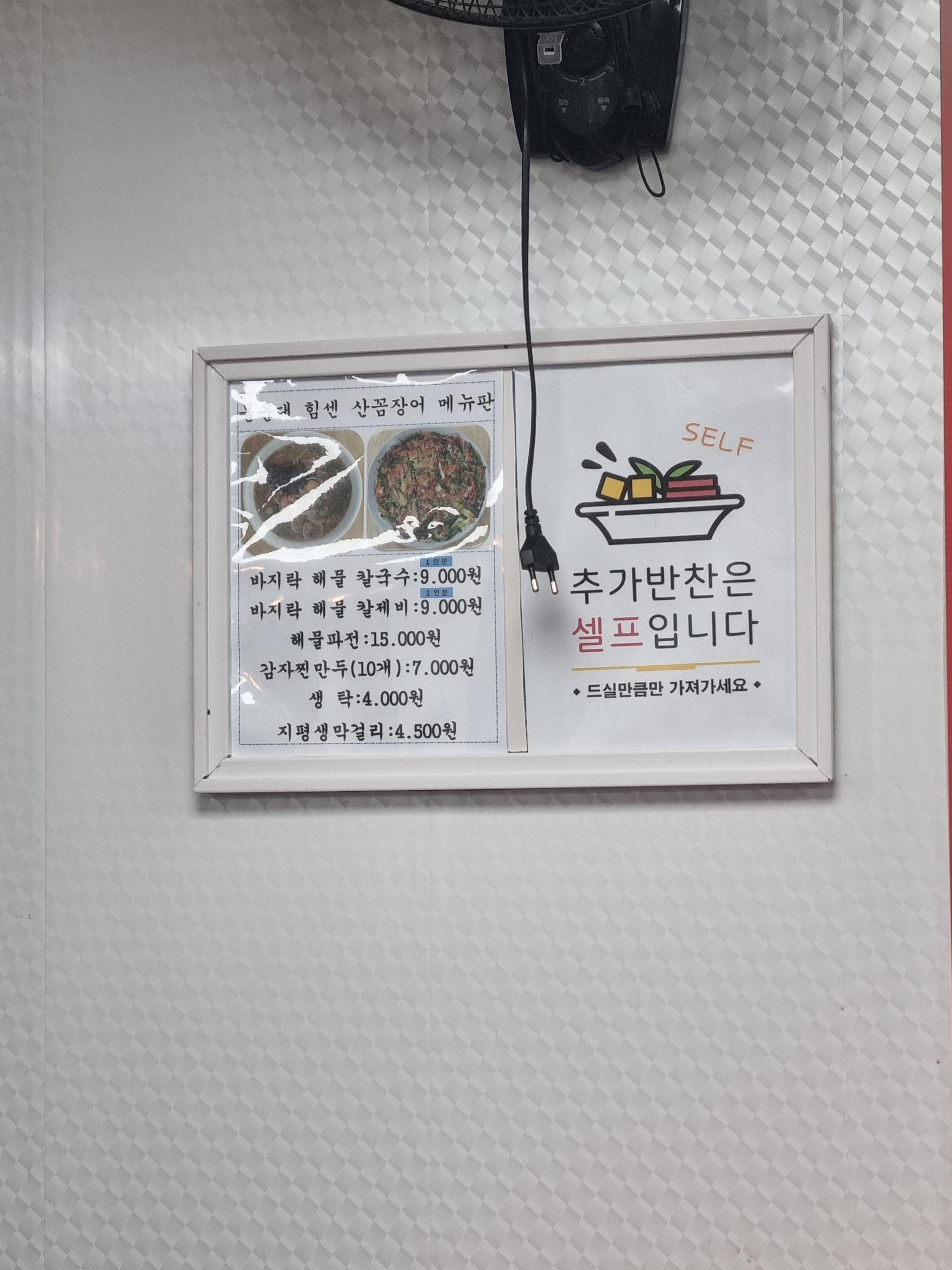 몰운대 힘센 산꼼장어