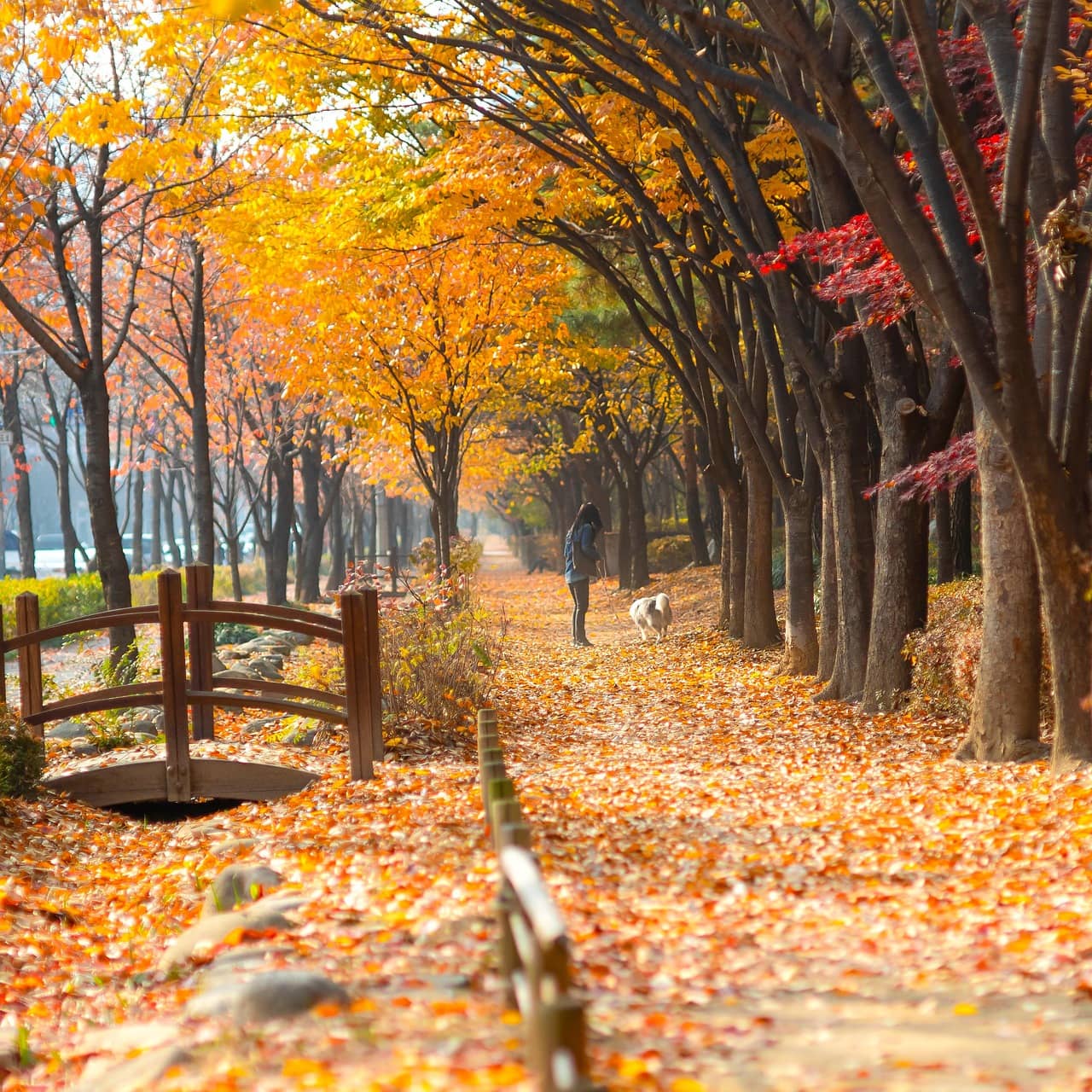 [디지털 미니멀리즘] 휴대폰 위젯 전면 제거 이후 나타난 심리적 간결함 변화