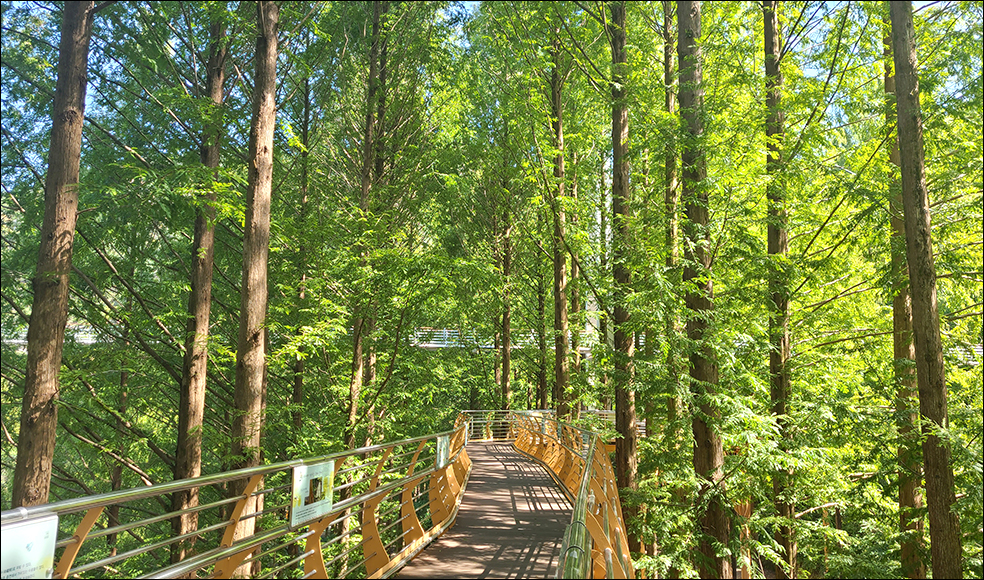 장태산 자연휴양림 예약 