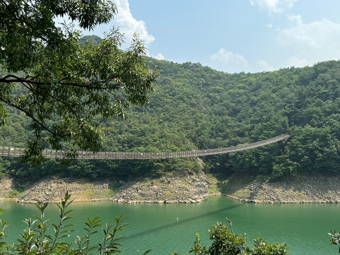 출렁다리