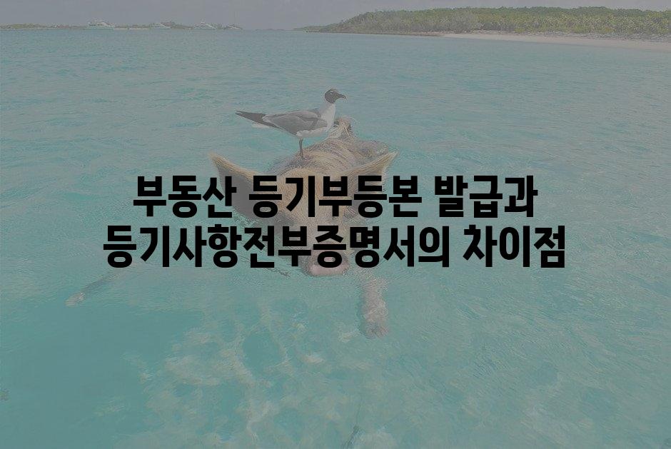샘플 (1)