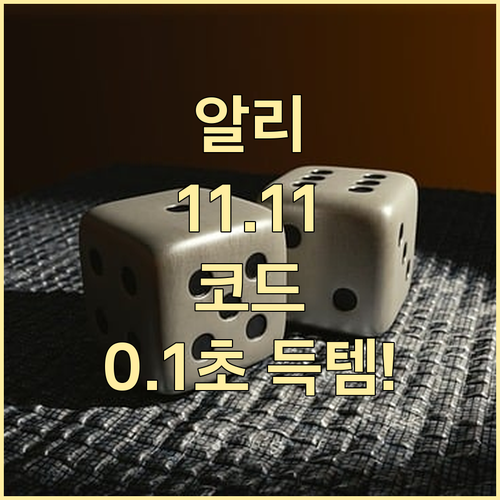 알리익스프레스 11.11 광군제 프로..