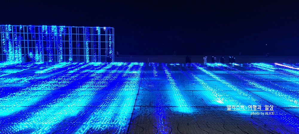 제8회 해운대 빛축제 - 해운대 백사장에 펼쳐지는 아름다운 빛의 물결 (반드시 알아두어야 할 입장정보, 백신접종증명서)