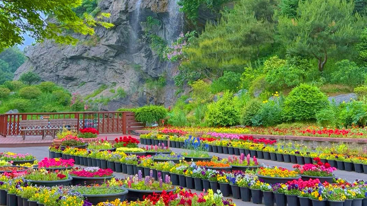 아산 피나클랜드