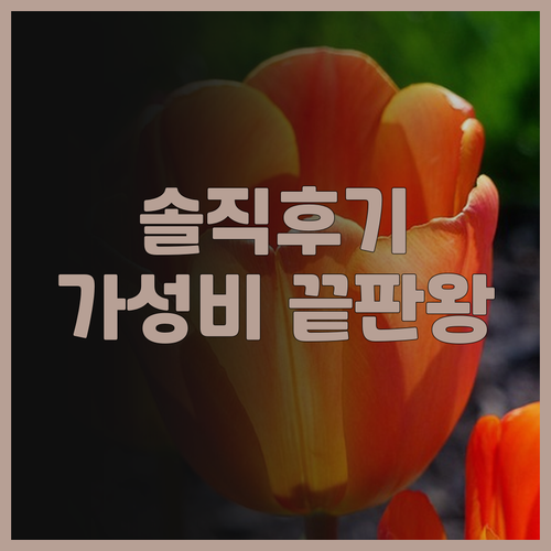 시슬 포트 디킨슨 실제 투숙 후기 가..