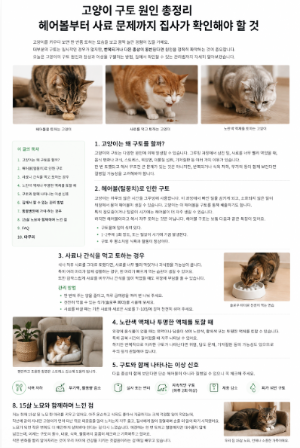 고양이 구토 원인 헤어볼부터 사료 문제까지 집사가 확인해야 할 것 총정리
