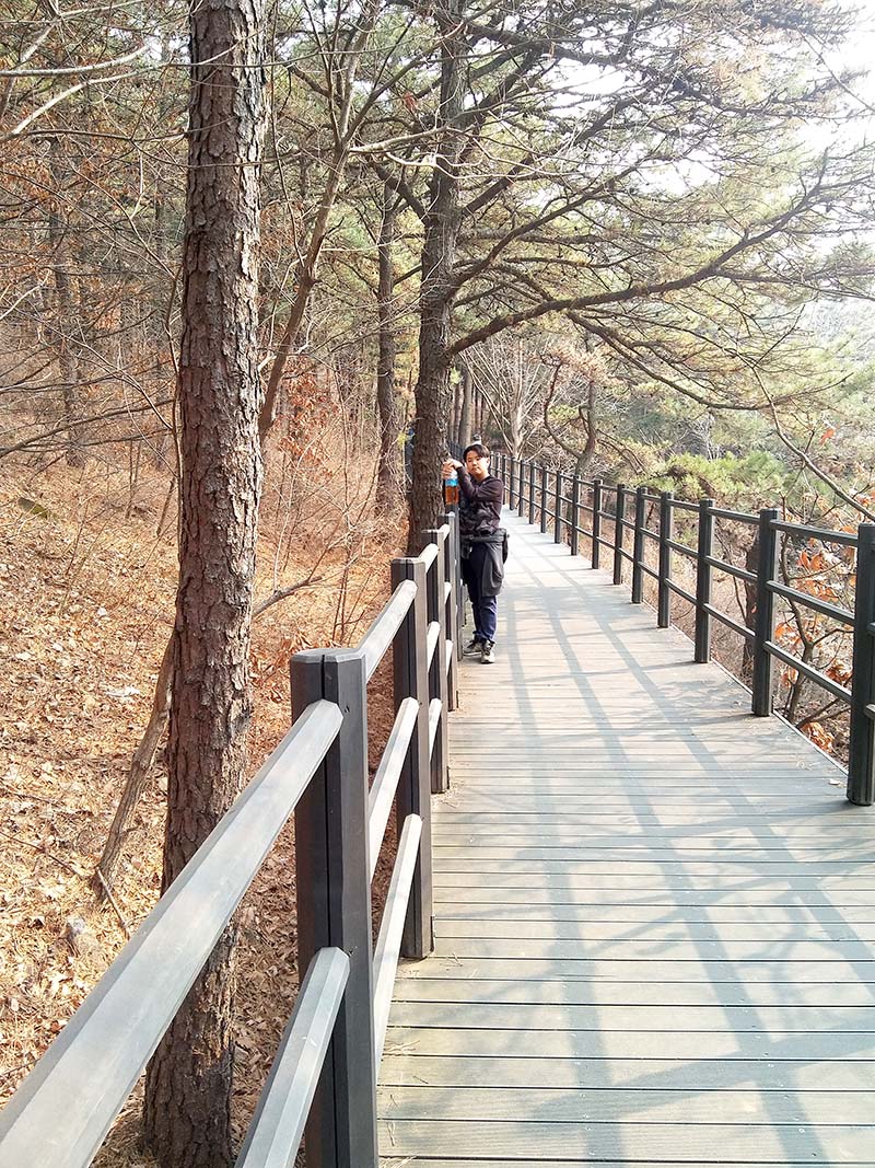 서대문구 안산자락길