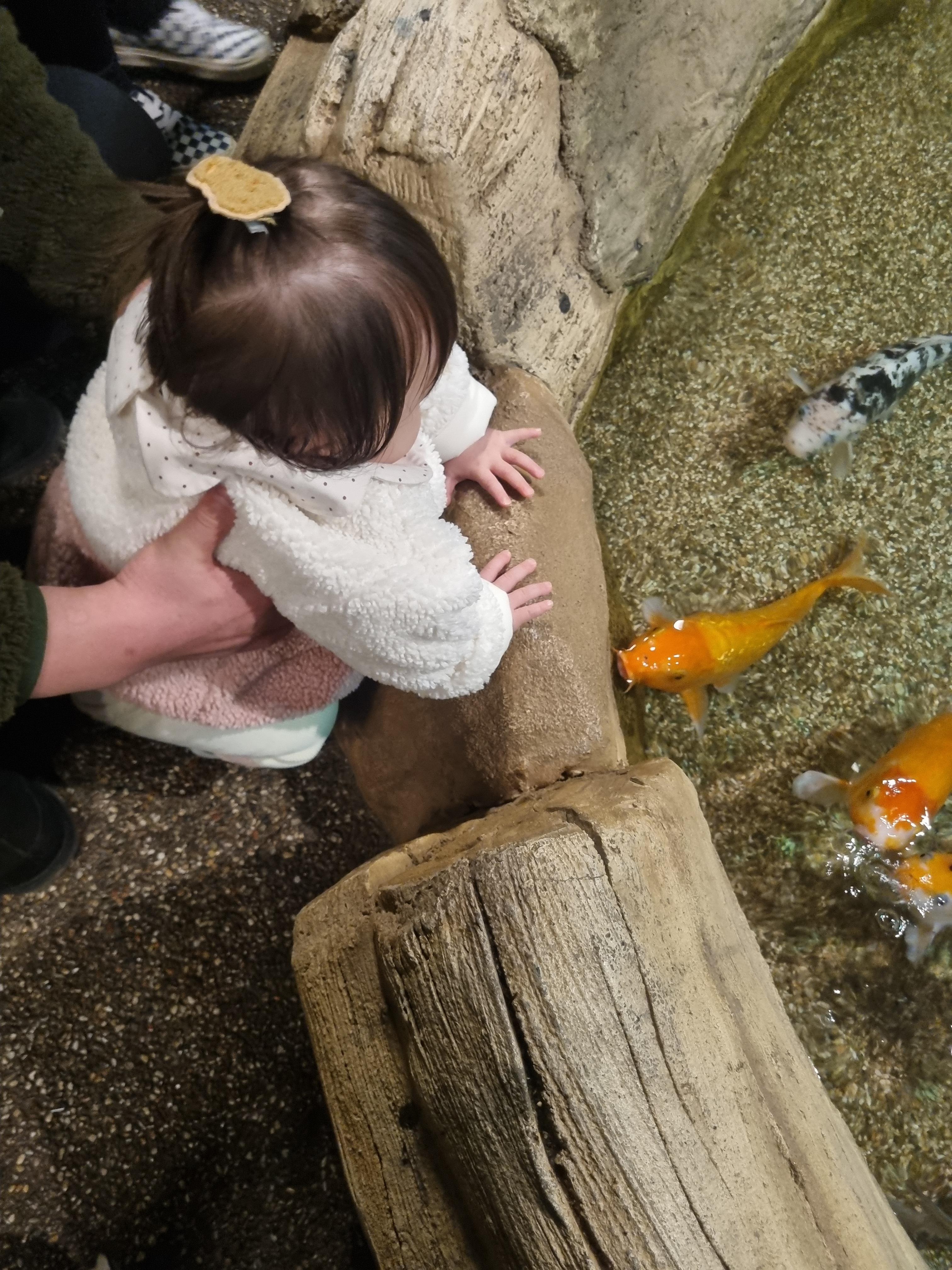 아기랑 갈만한 곳