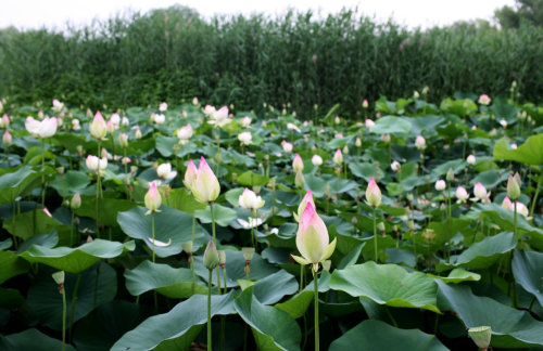 여름국내여행지